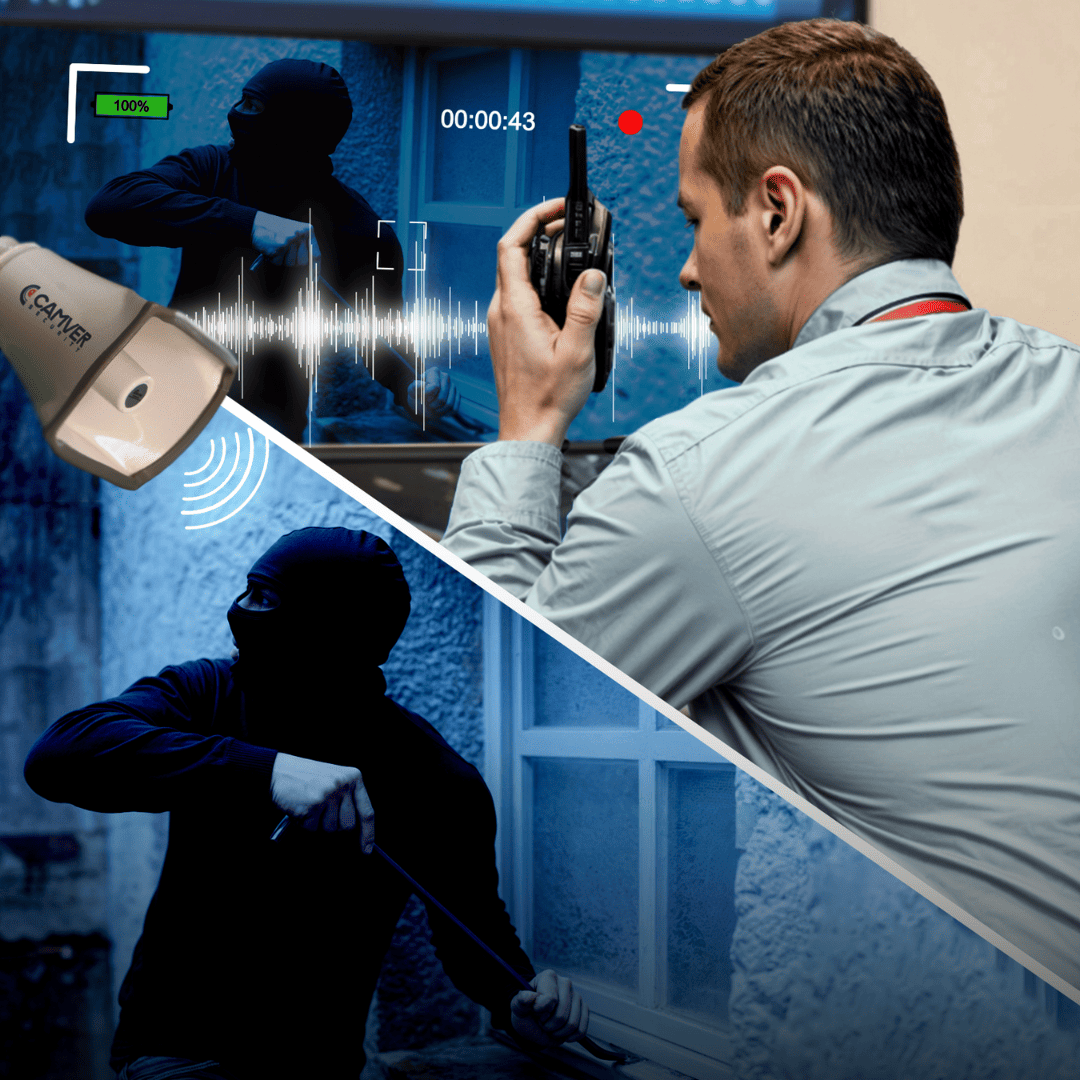 Cámaras de Seguridad